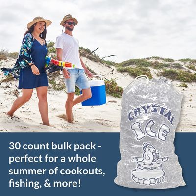 Congelador plástico Cubo de hielo Bolsa de plástico personalizada Durable Reutilizable Bolsas de mercancía de 10 libras
