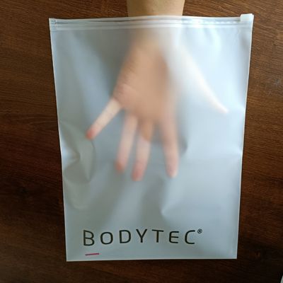 Logotipo personalizado PET/PE CPP Zip Lock Bag Packaging para cosméticos congelados y trajes de baño