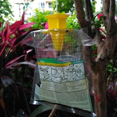 Tamaño personalizado Captador de moscas de PVC Jaula de mosca para el control de moscas en cualquier entorno
