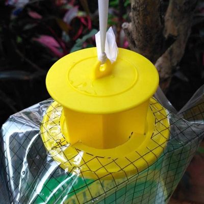 Tamaño personalizado Captador de moscas de PVC Jaula de mosca para el control de moscas en cualquier entorno
