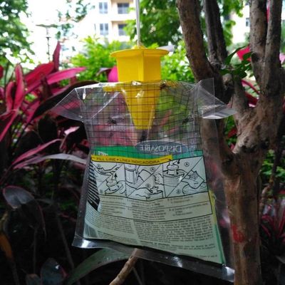 Tamaño personalizado Captador de moscas de PVC Jaula de mosca para el control de moscas en cualquier entorno