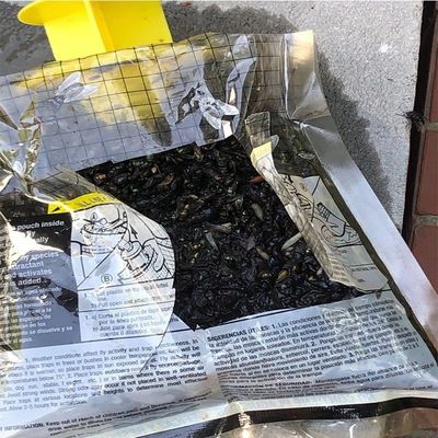 Tamaño personalizado Captador de moscas de PVC Jaula de mosca para el control de moscas en cualquier entorno