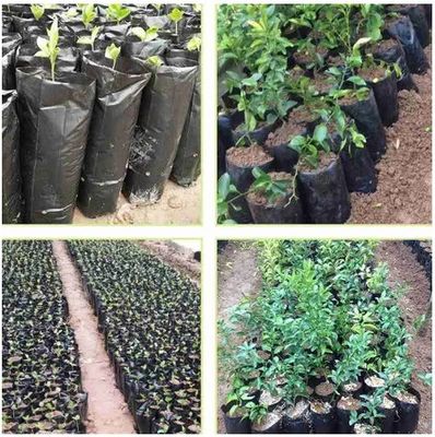 Bolso de plástico para jardinería de plantas de frutas, verduras y flores