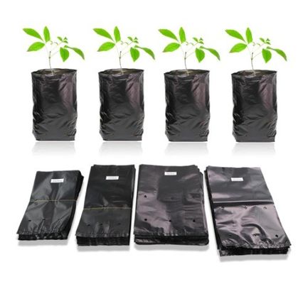 Bolso de plástico para jardinería de plantas de frutas, verduras y flores